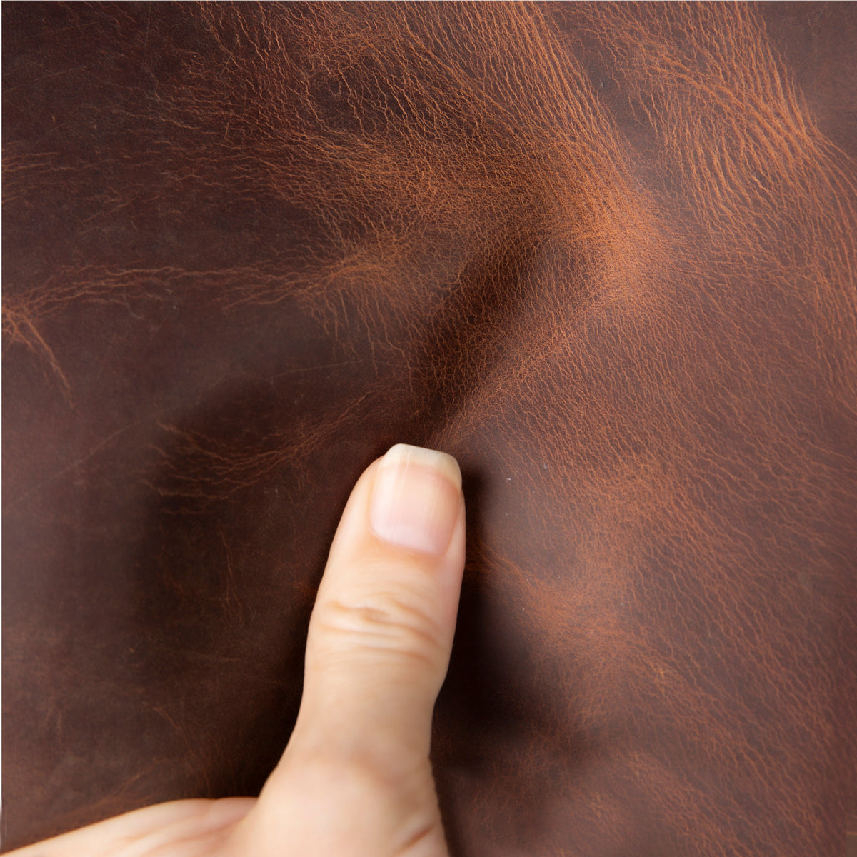 Magic iPhone 12 / 12 Pro Detachable Leather Wallet Case